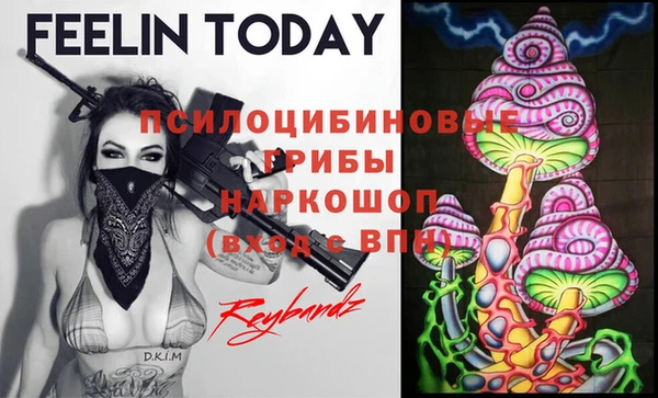метадон Нея
