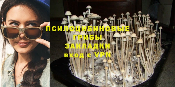 героин Новодвинск
