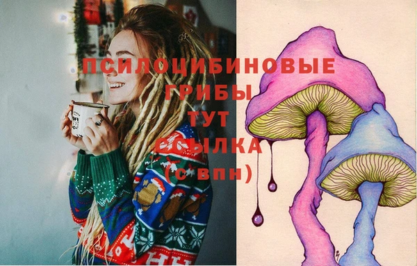 героин Новодвинск