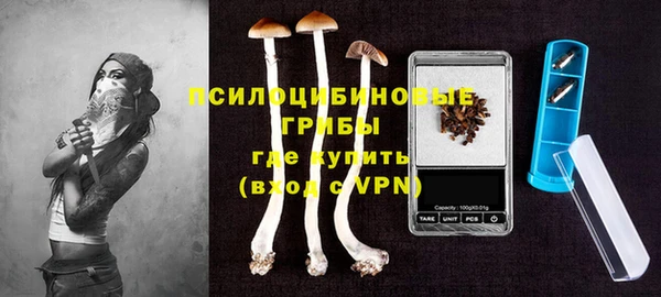 PSILOCYBIN Елизово