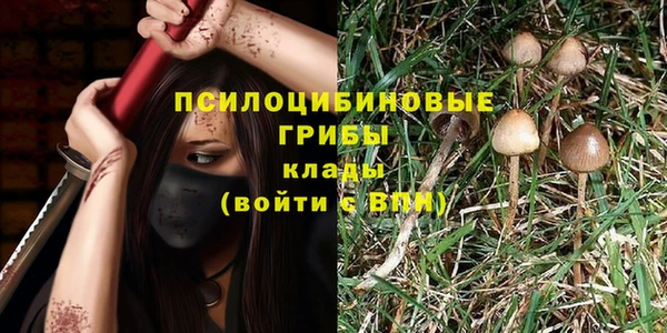 apvp Новозыбков