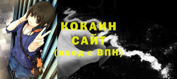 индика Нефтекумск