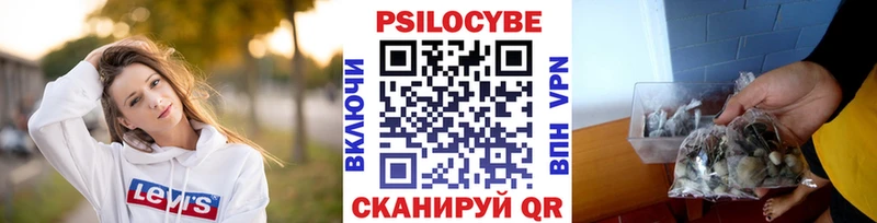 закладка  Калтан  Псилоцибиновые грибы Cubensis 